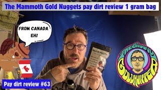 A little bag of pay dirt with a big punch! The 1 gram of gold Mammoth pay dirt review