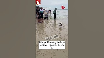 Lúa hết, bão về – tôm cá dạt kín bờ, dân làng lại được mùa nhặt cá!