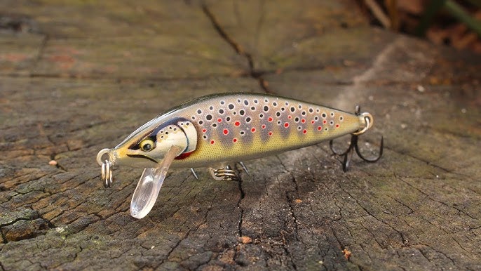 Rapala Scatter Countdown 