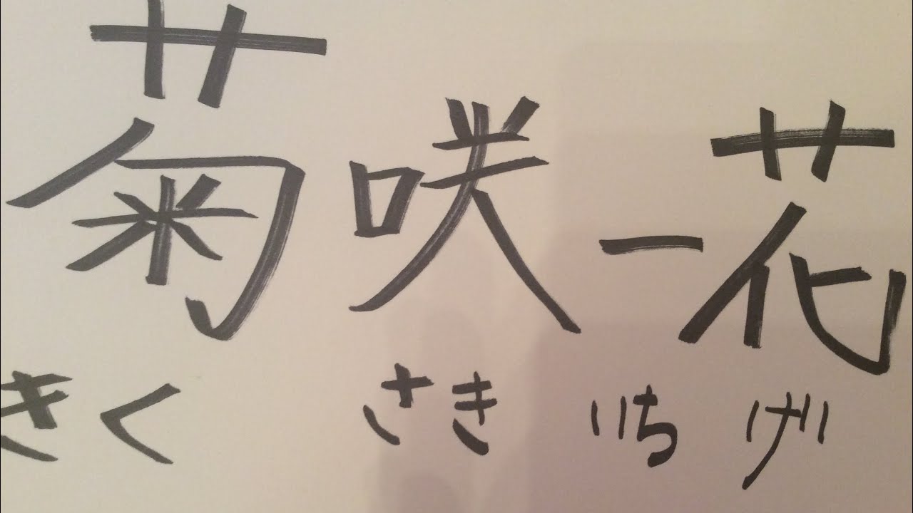 菊咲一花 Sportsjpgazo 菊咲一花 Sportsjpgazo