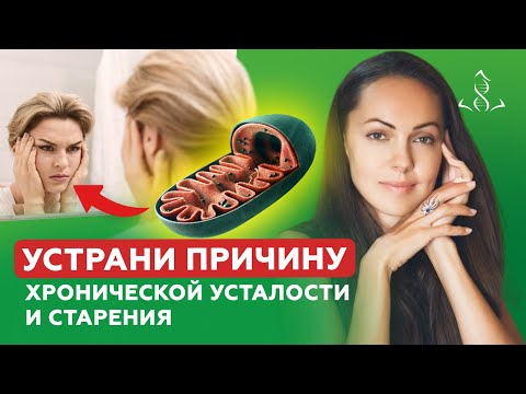 МИТОХОНДРИИ. Старение человека. Анализы. Препараты. Физические упражнения.