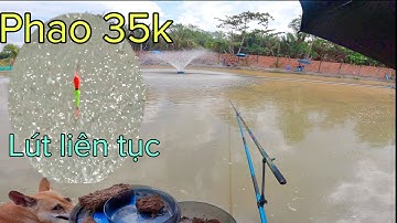 ✅ 540 phút cám DF thử sức câu cá chép Sài Gòn Mùng 2 Tết | DUY FISHING