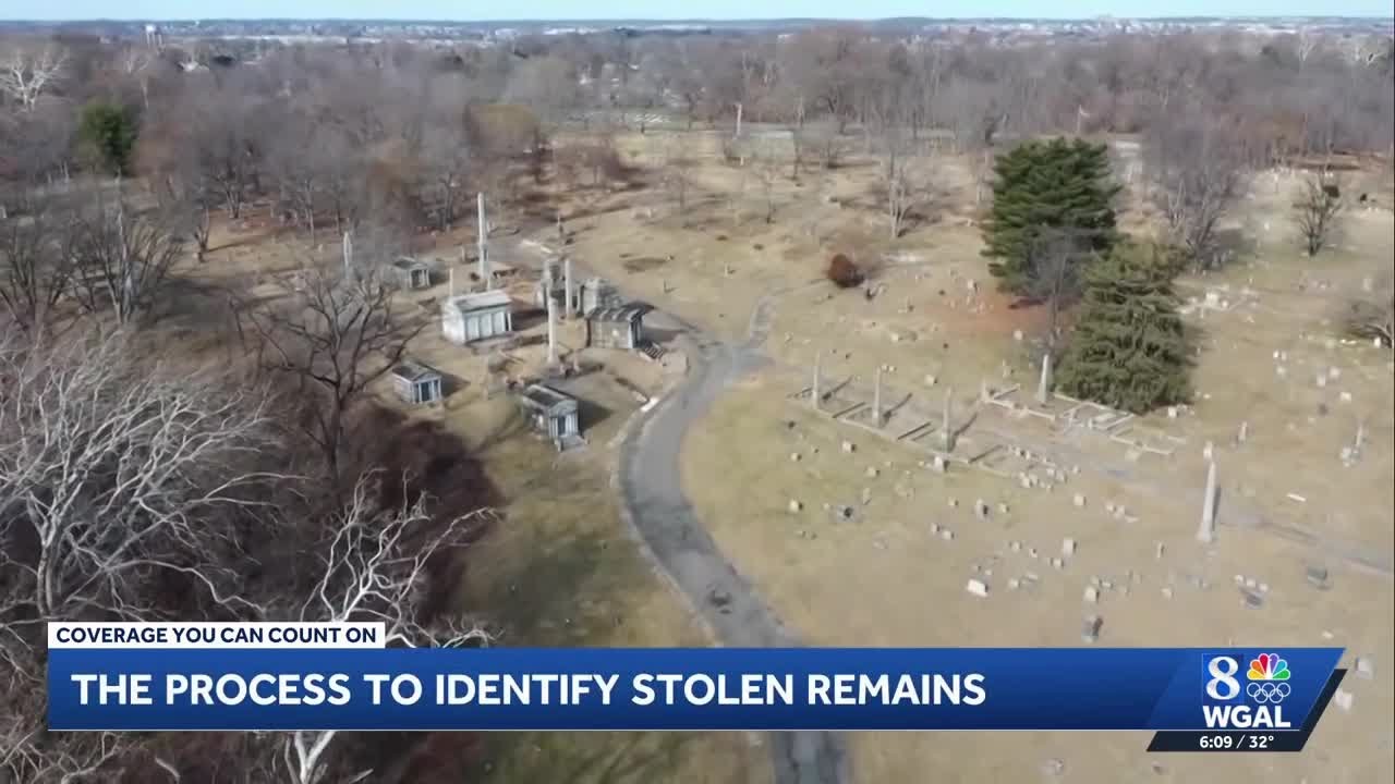 Genealogist explains how DNA could identify 100 human remains found in ...