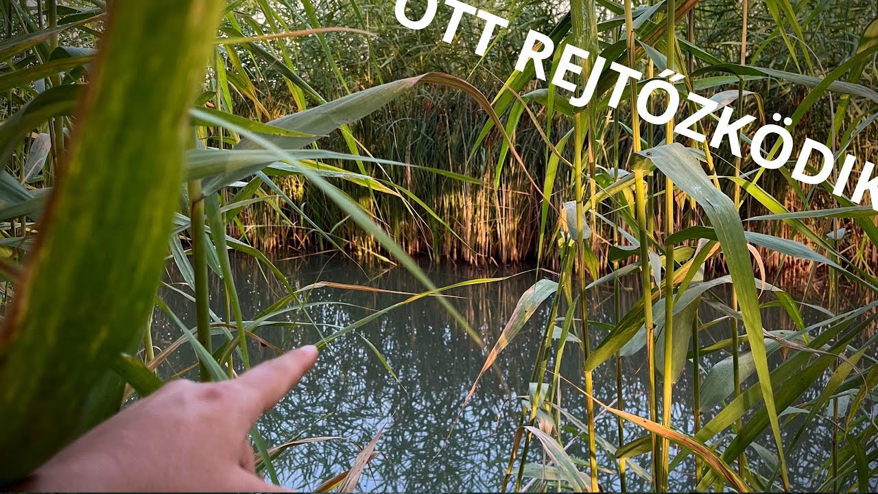 Nyári rapid csatorna horgászat!! 🐟