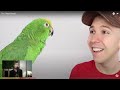 End of video