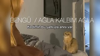 Bengü Ağla Kalbim Ağla / Kedinin Anısı Resimi