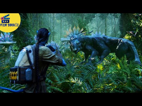 Avatar | Ormandaki Yaratıklar (1/2) | HD |