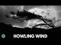 10 hr  howling wind sounds for sleeping  relaxation  dark screen  black screen