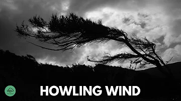 10 HR | HOWLING WIND sounds for sleeping & relaxation | Dark Screen | Black Screen