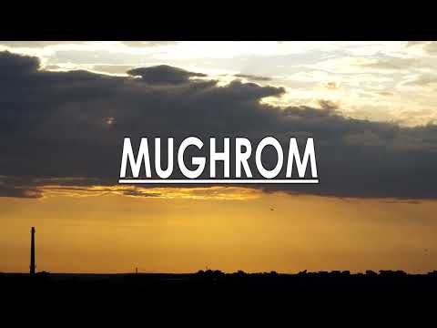 Sholawat Mughrom Penyejuk hati, Cover by Muhajir lamkaruna feat saiful rizal