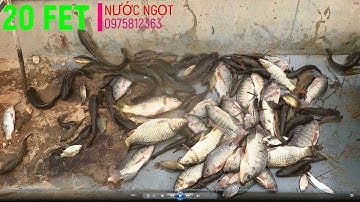 20 FET |NƯỚC NGỌT |Kích Cá | Xiệt CÁ | Xiệt điện nc ngọt | Tét Thực Tế kích cá nc ngọt | 0975812363