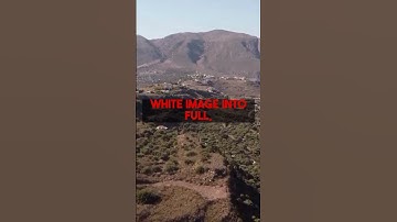 Revive history! Learn to colorize old photos with colorizethis.io crash courses.