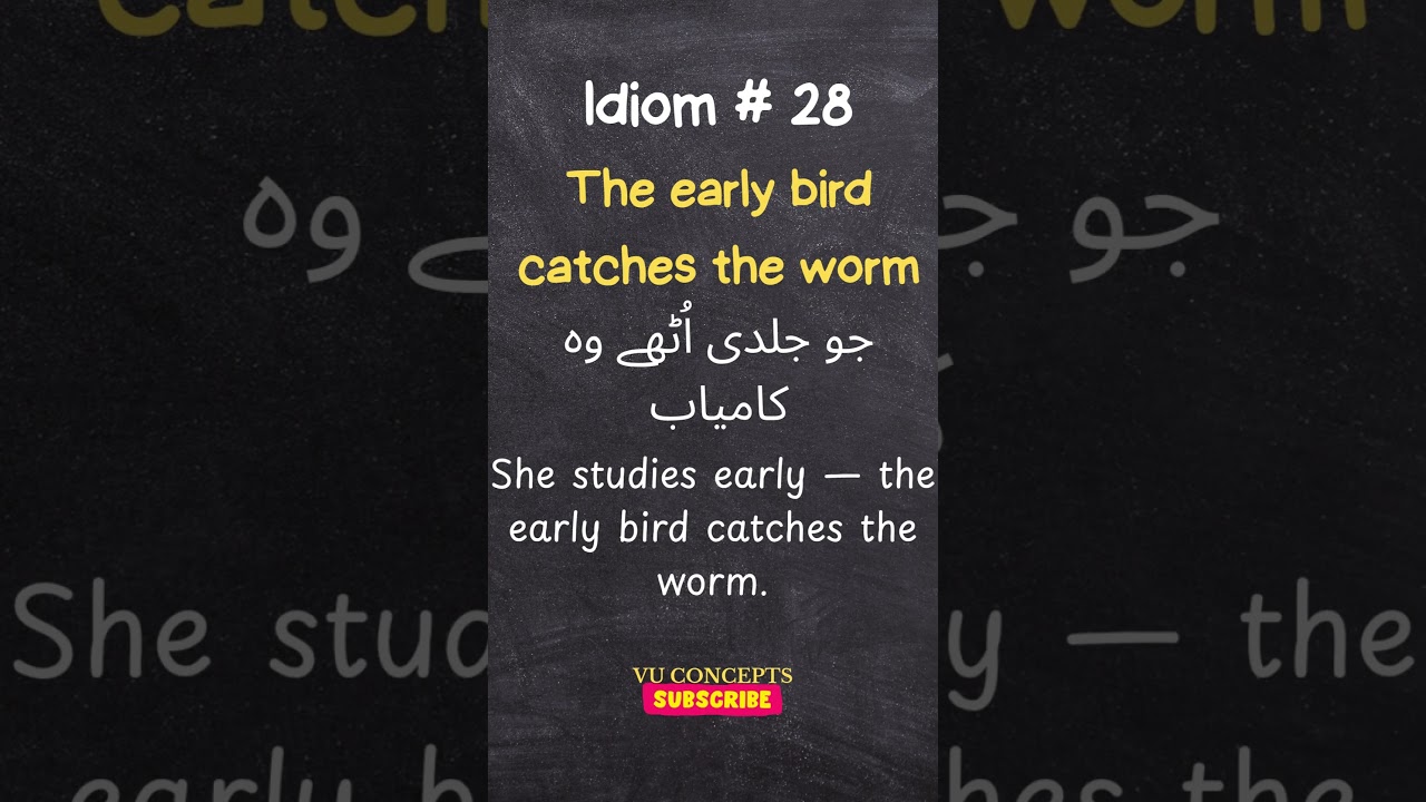 Is Early Bird Gets the Worm a Proverb: Truths You Must Know