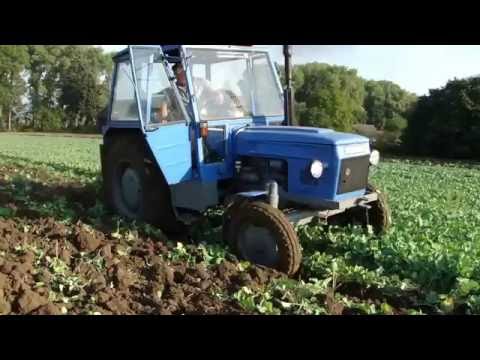 Orba po řepce
