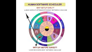 Nandi Krushi : Software schedule for human body organs screenshot 1