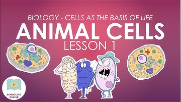 Animal Cells Lesson 1 (Cell Structure & Function | Biology)