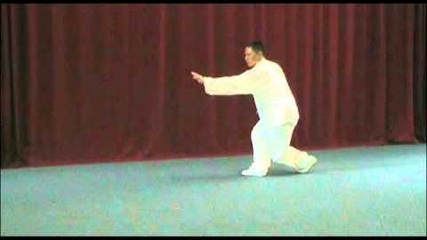 XingYi Quan 5 Elements Linking Form by Master Shao Zhao Ming