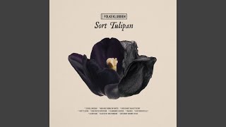 Video thumbnail of "Folkeklubben - Sort Tulipan"