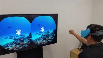 Vive Focus: Hand Tracking And 6 DoF Controller Input