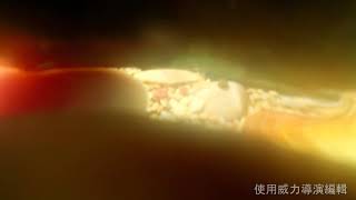 蛤蜊的一生