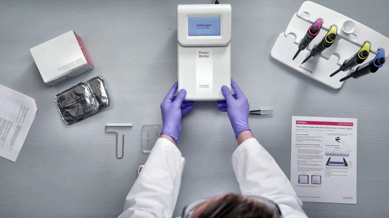 Эффективный полусухой перенос белка с помощью Power Blotter