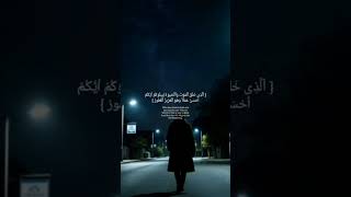 Download Mp3 This Surah Will Guard you Every Night | surah Al-mulik Reminder #islamicreminder #quran #shorts Gudang lagu Download Mp3 This Surah Will Guard you Every Night | surah Al-mulik Reminder #islamicreminder #quran #shorts