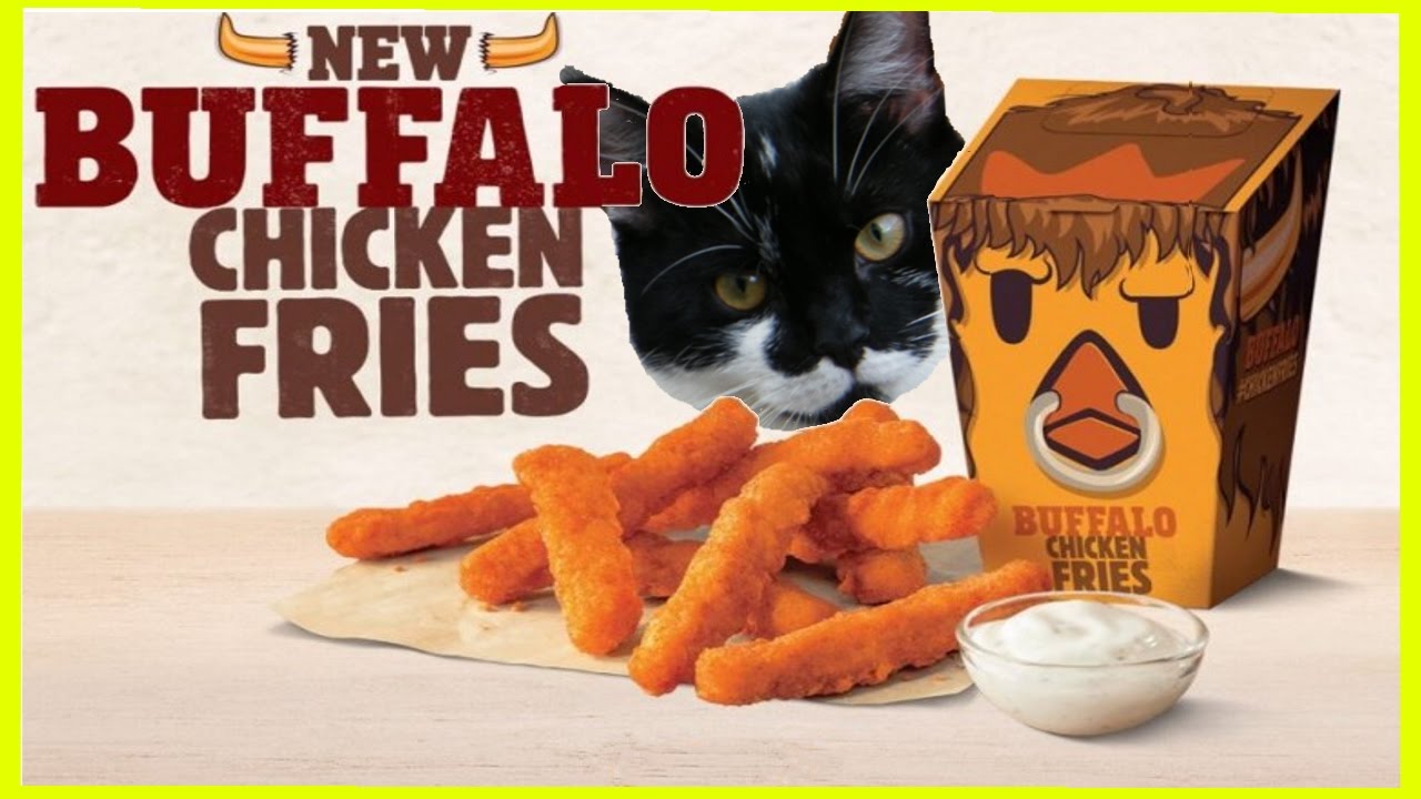 burger king cat