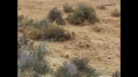 ما تيسر من سورة إبراهيم للشيخ حسن صالح