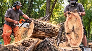 Cutting Flame Boxelder Into Live Edge Ovals | Chainsaw Milling