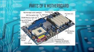 Famous Performing Computer Operations Profile