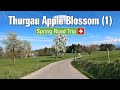 Spring in Switzerland 🇨🇭 Ep#6 • Road Trip through the Thurgau apple blossom landscape Pt. 1 🍎 [4K]
