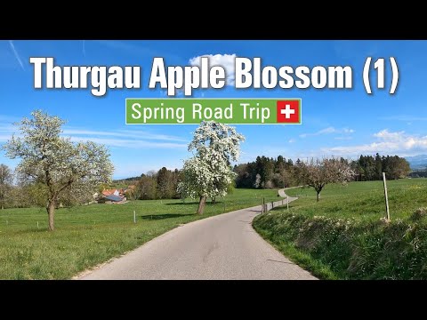 Spring in Switzerland 🇨🇭 Ep#6 • Road Trip through the Thurgau apple blossom landscape Pt. 1 🍎 [4K]