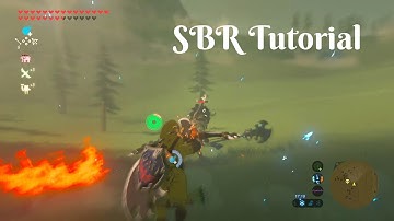easy Shield Block Reset (SBR) tutorial in BotW - BotW combat mechanic 2021