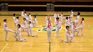 2012-11-01 DHS JV Pom Highkick Competition Routine (Elvis)