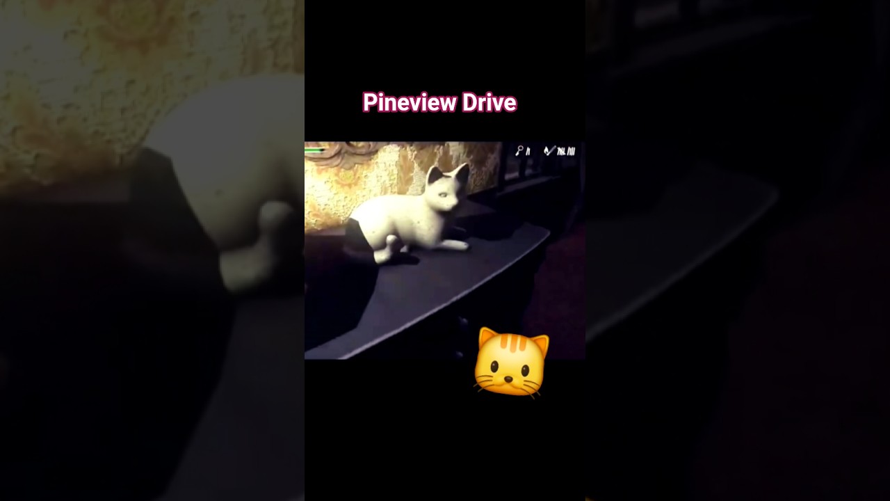 #PineViewDrive 🐱