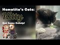 Kitty got some catnip! (With music)