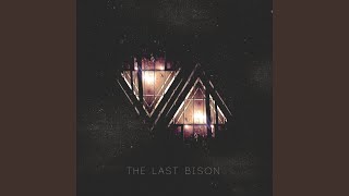 Video thumbnail of "The Last Bison - Come What May"