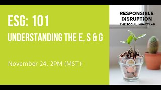 ESG 101: Understanding the E, S & G