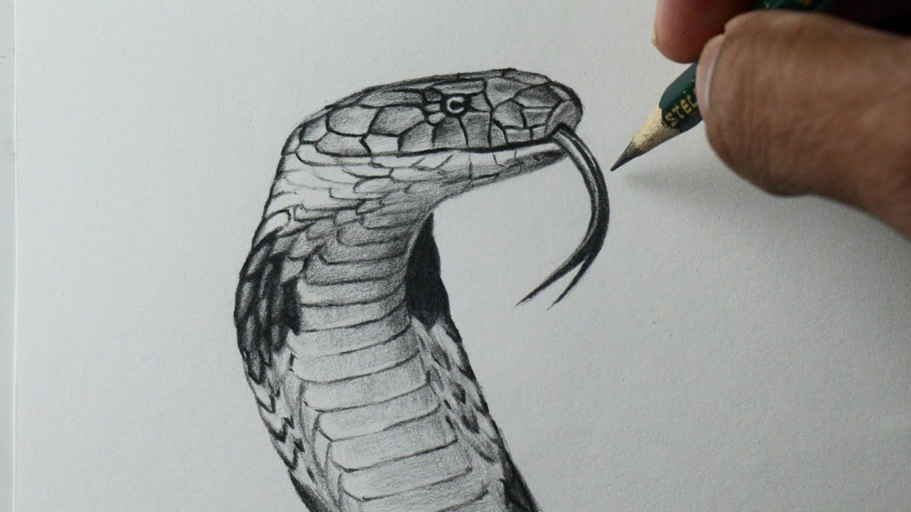 COMO DESENHAR UMA COBRA 