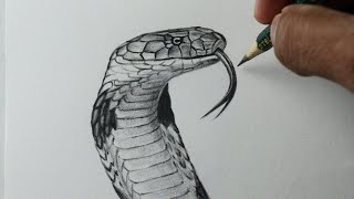 Como Desenhar Uma Cobra  Tutorial De Desenho Fácil Passo A Passo