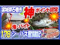 【シーバス奮闘記178】神ポイント認定☆彡連釣・鬼バイト【六助ポイント】