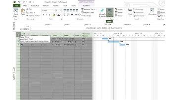 Tracking Progress using Microsoft Project