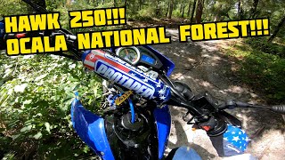 Hawk 250 Offroading!! Ocala National Forest!! Wandering Wiregrass!!