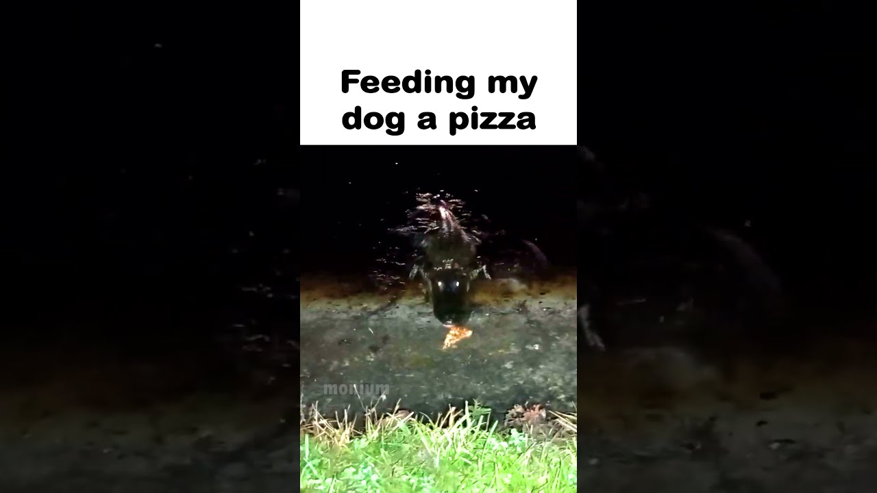 Average Day In Florida