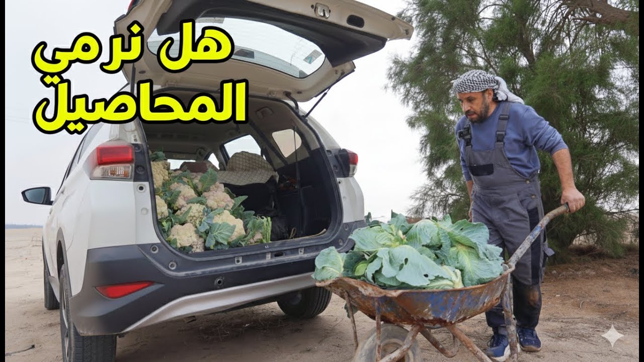 بحثنا عن الفطر بعد المطر… والنتيجة لم تكن كما توقعنا