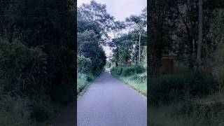 JALAN MENUJU GUNUNG MERAPI