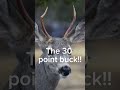 #30PointBuck #deer #viralvideo #outdoors