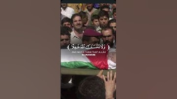 قران كريم بصوت جميل يشرح القلب❤ #قران_كريم #قران_كريم_ارح_سمعك_وقلبك #فلسطين_حرة #شهدا