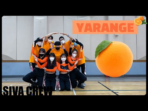 [충북대 댄스동아리 SIVA CREW 정기공연] "YARANGE" (관중 ver.) | 57th Dance Performance