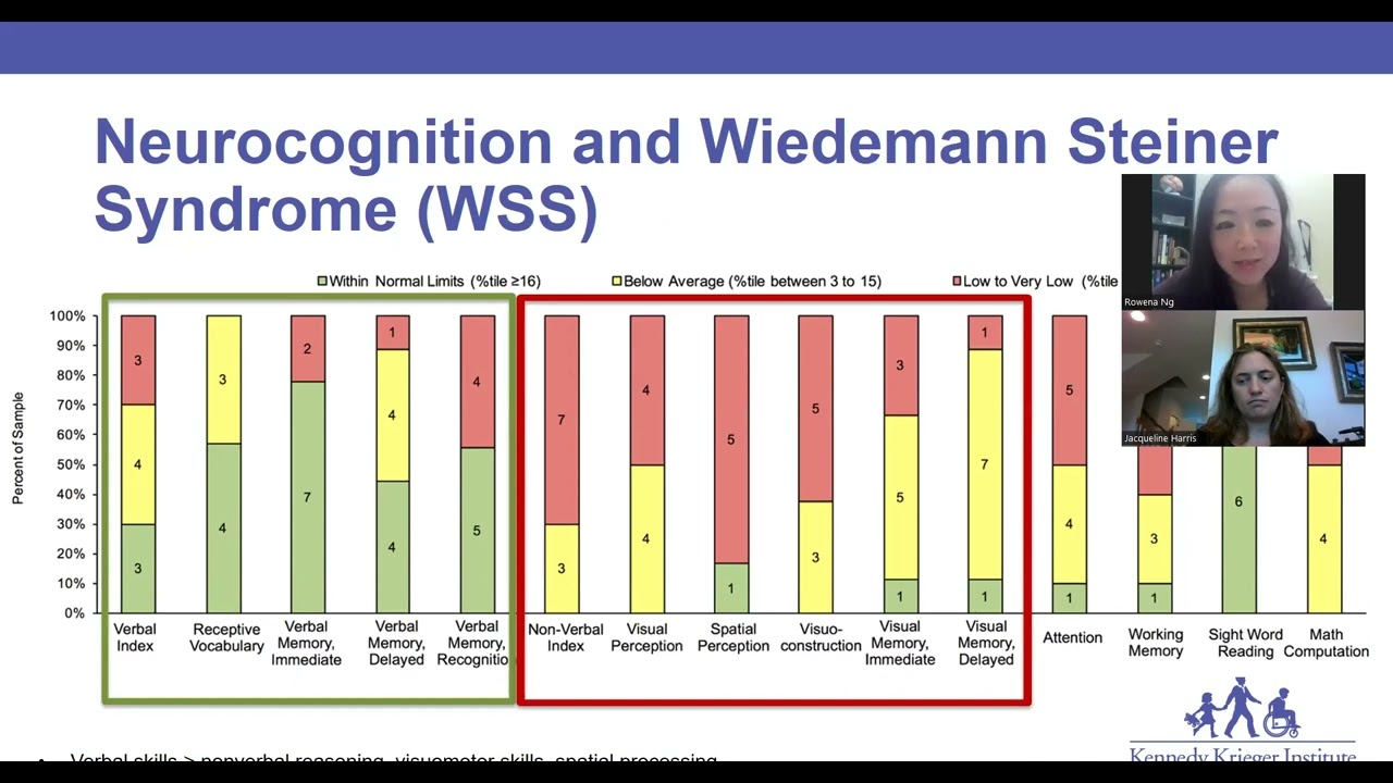 Neurodevelopmental Profile of Wiedemann-Steiner Syndrome: Preliminary Findings and Future Directions